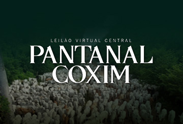 LEILÃO VIRTUAL CENTRAL PANTANAL COXIM